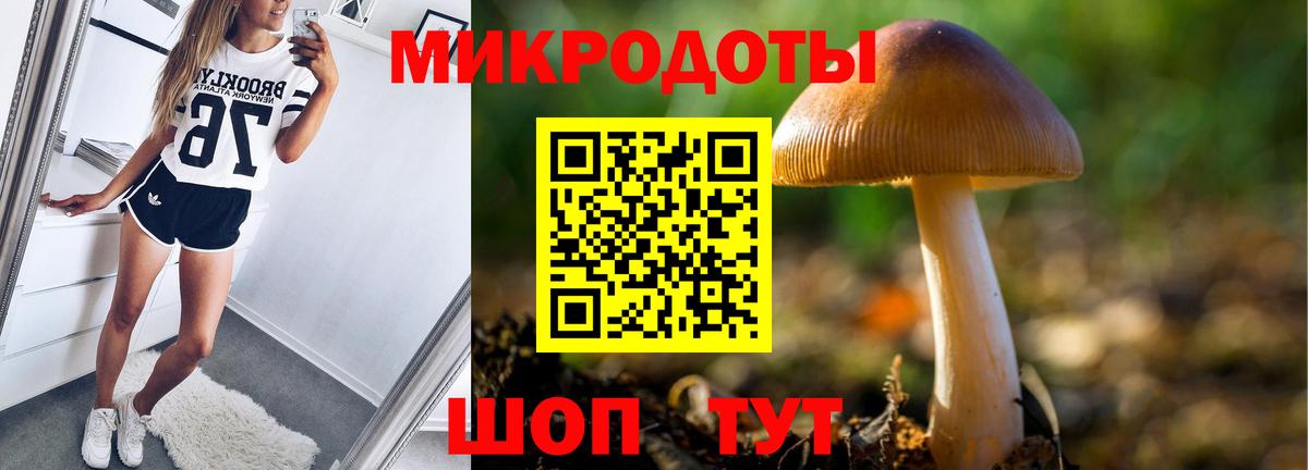 Галлюциногенные грибы Cubensis  наркота  Бирск  Вход с VPN 